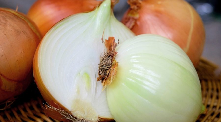 Samter Hausmittel bei Mittelohrentzündung: Zwiebelsäckchen – Samter-Trias